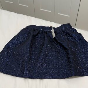 Maeve by Anthropologie  Metallic Navy Skirt
